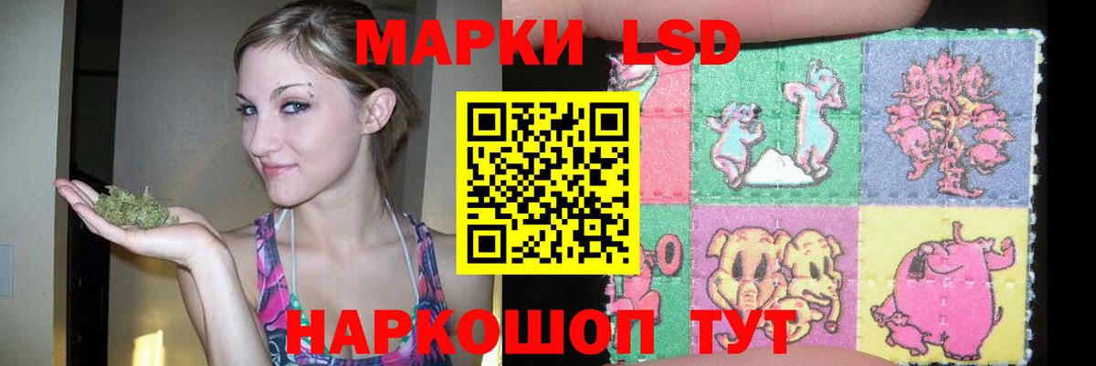 LSD-25 Иваново